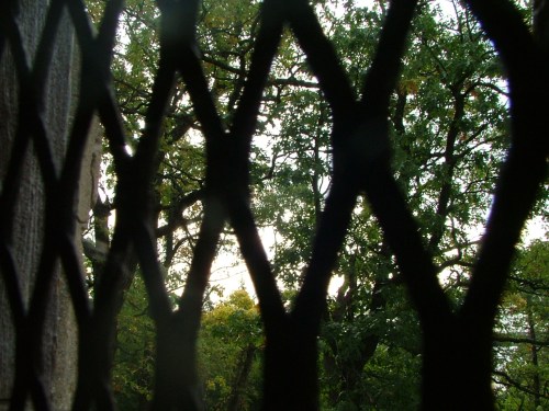 aba september 2012 019