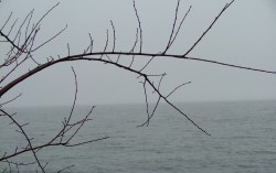 stairs, fog, conference center, December 2012 008