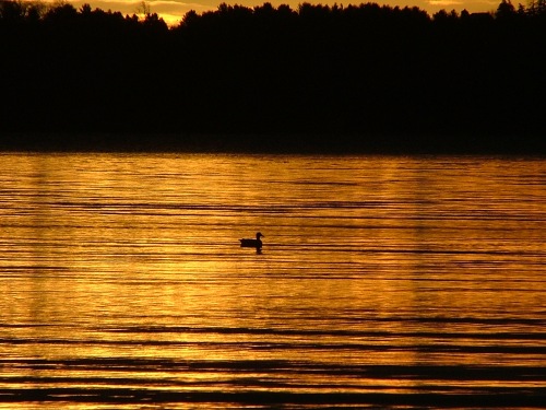 sunrise - November 1st, 2012 - Green Lake 