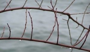 stairs, fog, conference center, December 2012 012