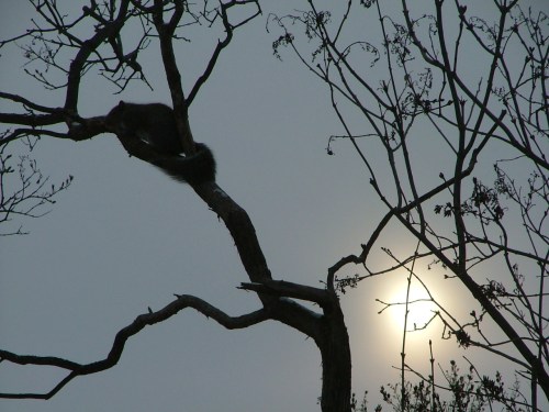 January 18th 2013 - walk at Green Lake Conference Center