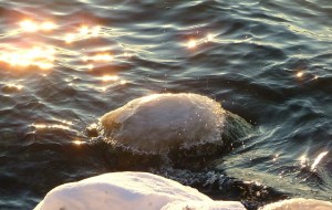 january 4th, 2013 012