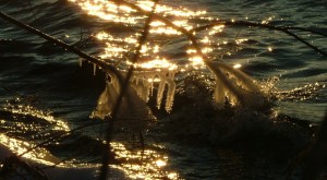 january 4th, 2013 040