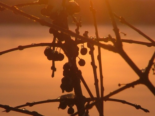 february 8th, 2013, sunrise over frozen green lake 019