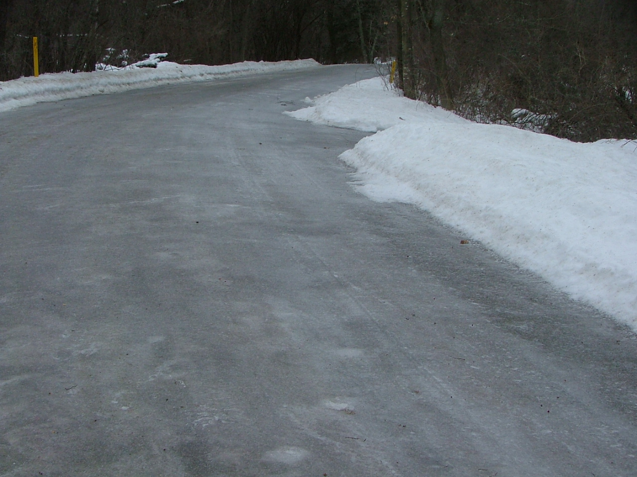 icy path, february 12th, 2013 004
