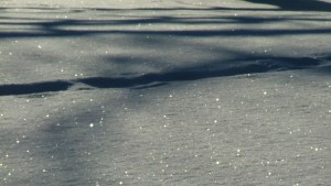 snow, February 15th, 2013, Green Lake, Paths 004