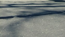 snow, February 15th, 2013, Green Lake, Paths 004