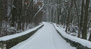 winter, february 7th, 2013 031