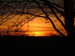 3 March, 2013, sunrise,, green lake, trees, 007