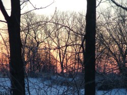 Sunday, march 3, 2013 001