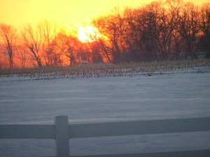 Sunday, march 3, 2013 012