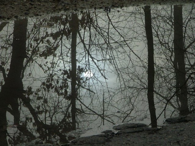 fog, April 1th, 2013 015