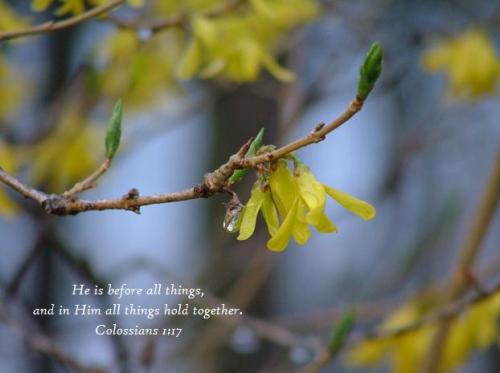 In Him Colossians 1;17