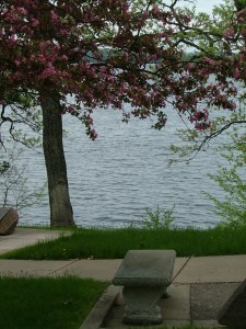 spring, flowers, water, boat, May 20th, 2013 025