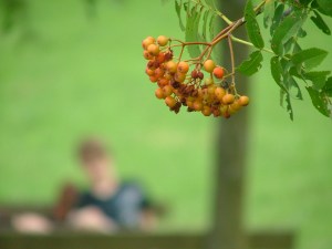 schalkenmehren, walk, lake, July 29th, 2013 013