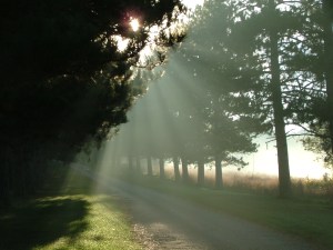 looking back to the light 014