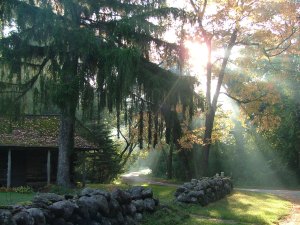 looking back to the light 022