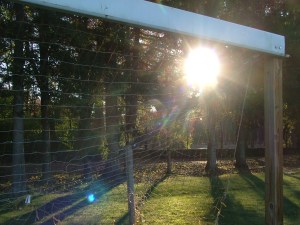 goals in the morning 002