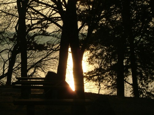 early morning rest 005