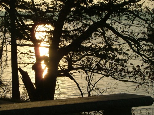 early morning rest 006