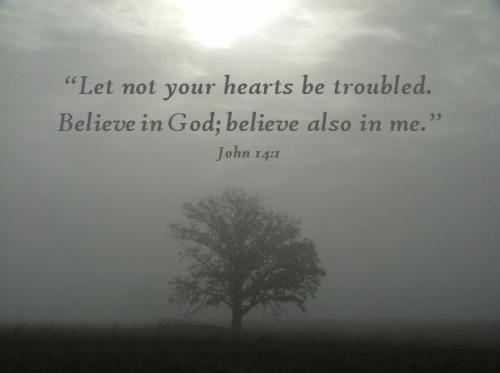 McDonalds Cover Picture