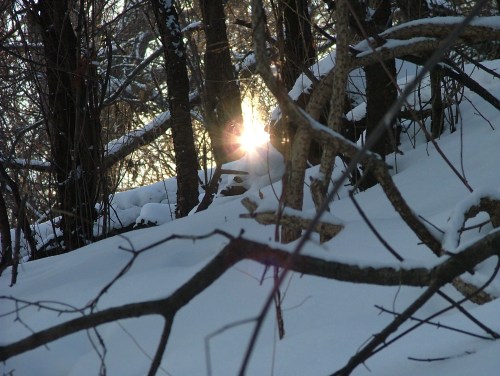 afternoon walk -February 001