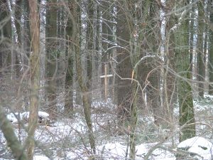 cross in woods February 2014 002