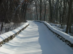 snowy-february-morning-043.jpg