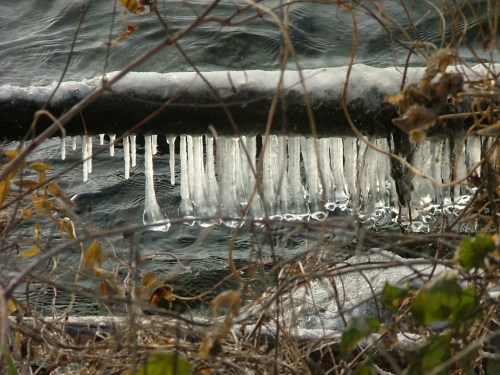 November 2014, fog, snow, ice, water, cold 026