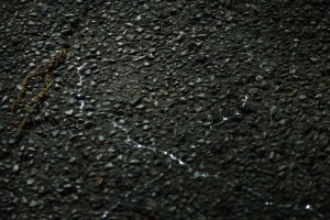 Late May Morning, trails of love 023