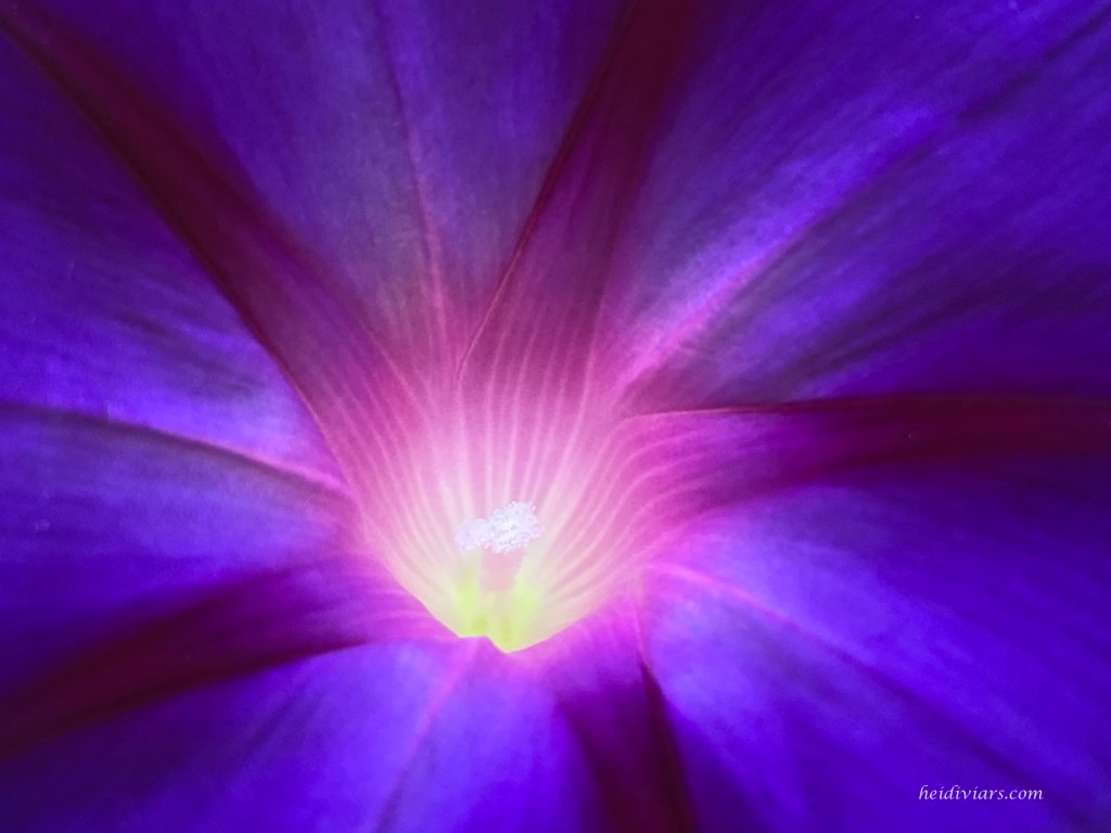 Cause and Reason for a&nbsp;Song