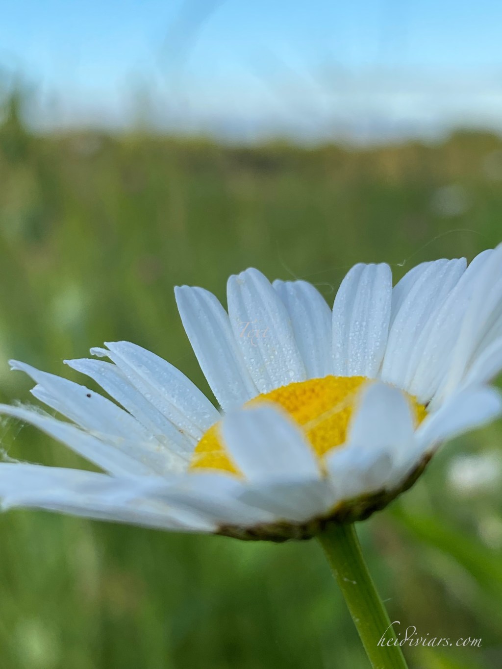 Again … Please&nbsp;Pray