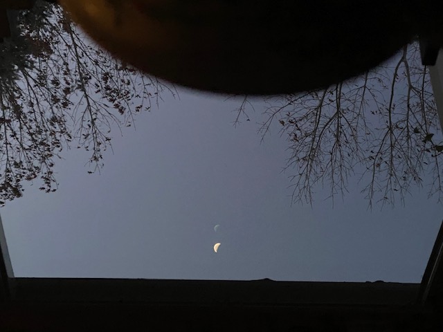 A Speck of Dust – Reflections from my&nbsp;Desk