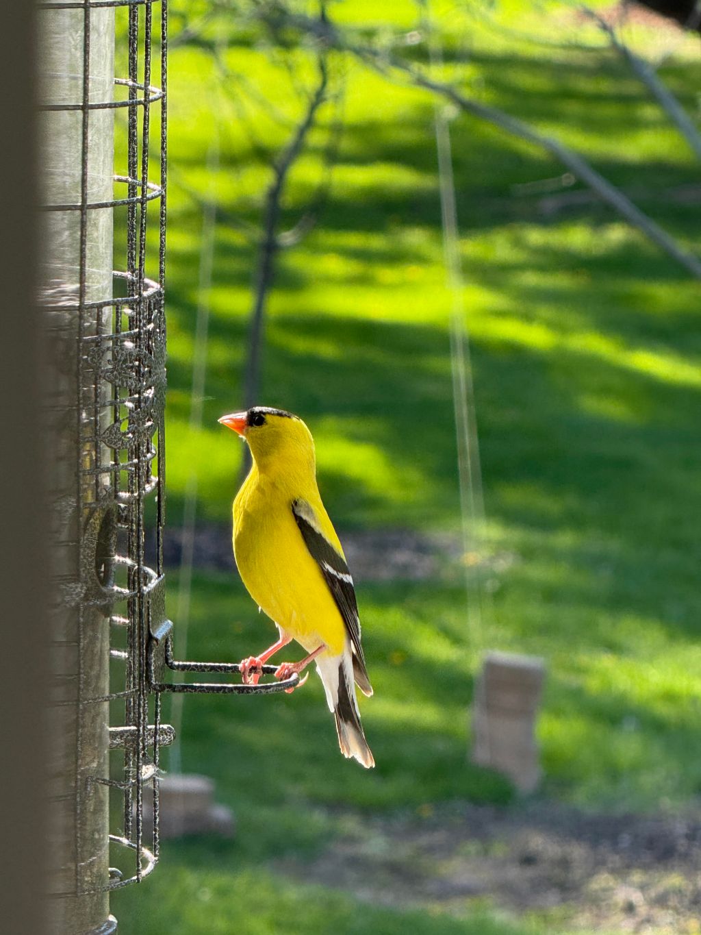 The Greatest of&nbsp;All